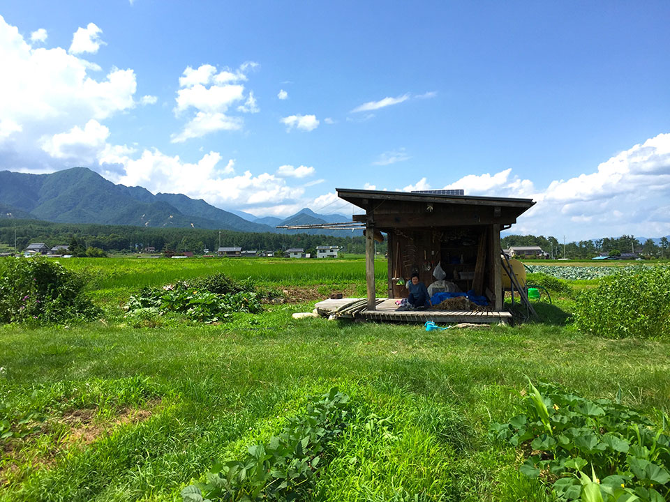 自然菜園まるごと、食養生リトリート