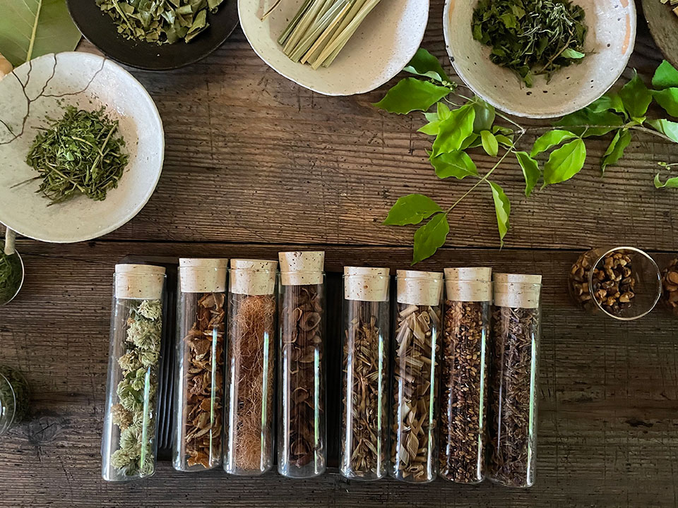 野の茶リトリート 野の茶リトリート