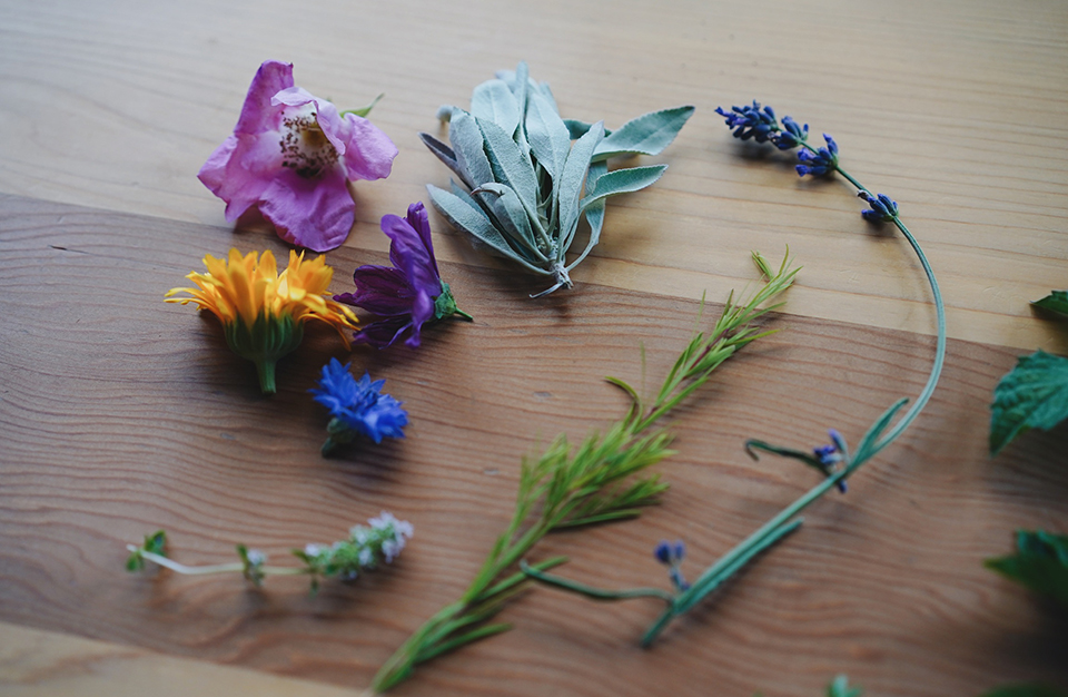 6月のデトックス